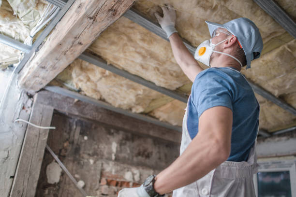 Best Blown-in Insulation in Sioux City, IA